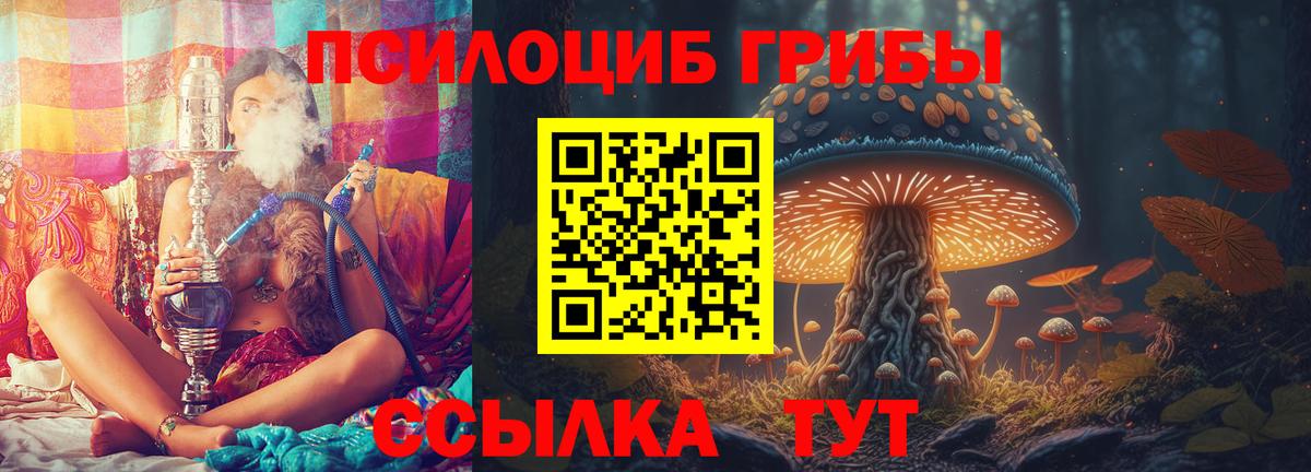 Псилоцибиновые грибы Cubensis  Вход с VPN  Нижневартовск 
